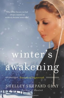 9780061852220 Winters Awakening : What If The Future You Counted On Suddenly Became Uncer