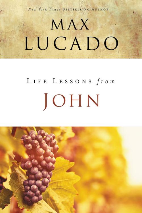 9780310086369 Life Lessons From John (Student/Study Guide)