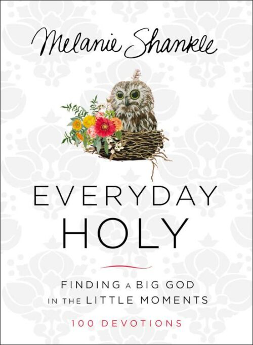 9780310346685 Everyday Holy : Finding A Big God In The Little Moments 100 Devotions