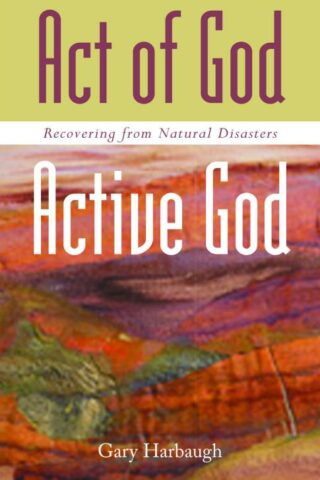 9780800632151 Act Of God Active God