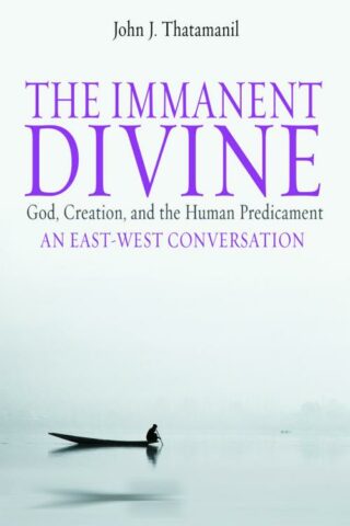 9780800637934 Immanent Divine : God Creation And The Human Predicament