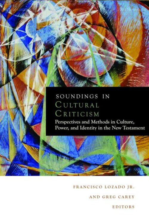 9780800698003 Soundings In Cultural Criticism