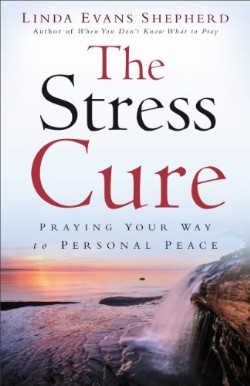 9780800722838 Stress Cure (Reprinted)