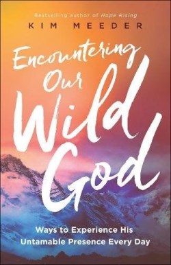 9780800798857 Encountering Our Wild God (Reprinted)