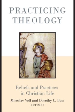 9780802849311 Practicing Theology : Beliefs And Practices In Christian Life