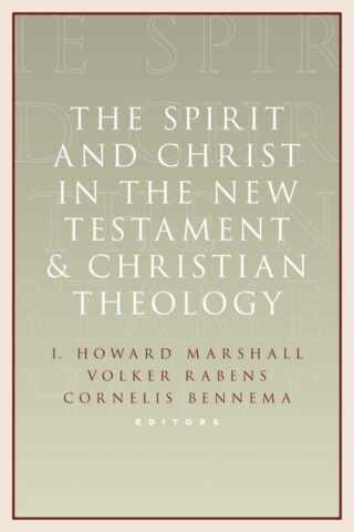 9780802867537 Spirit And Christ In The New Testament And Christian Theology