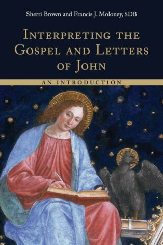 9780802873385 Interpreting The Gospel And Letters Of John