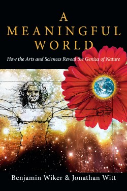 9780830827992 Meaningful World : How The Arts And Sciences Reveal The Genius Of Nature