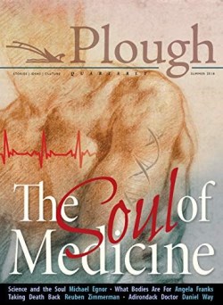 9780874868470 Plough Quarterly Number17 The Soul Of Medicine