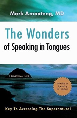 9780996426725 Wonders Of Speaking In Tongues