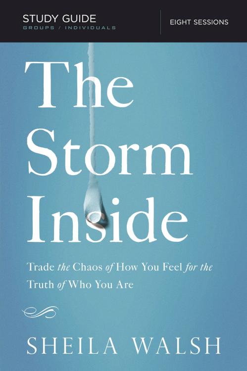 9781401677633 Storm Inside Study Guide (Student/Study Guide)
