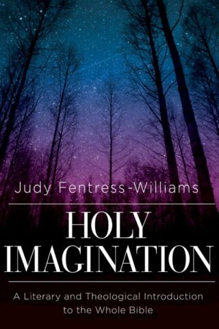 9781426775314 Holy Imagination : A Literary And Theological Introduction To The Whole Bib