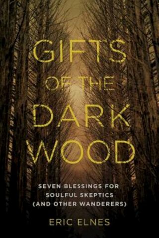 9781426794131 Gifts Of The Dark Wood