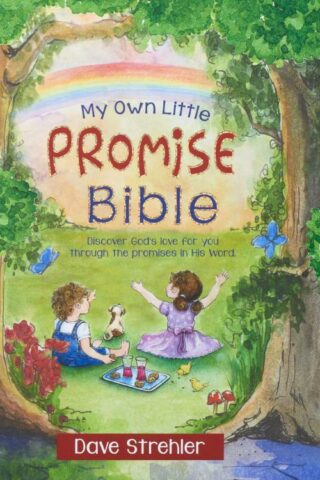 9781432124878 My Own Little Promise Bible