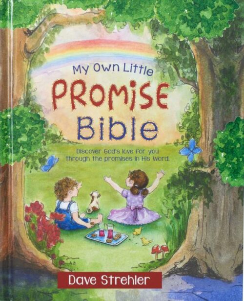9781432124878 My Own Little Promise Bible