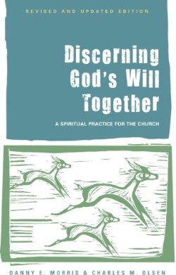9781566994255 Discerning Gods Will Together