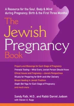 9781580231787 Jewish Pregnancy Book