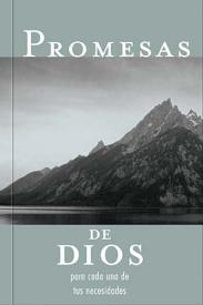 9781602553514 Promesas De Dios Para Cada Una - (Spanish)