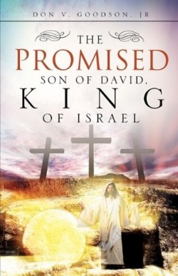 9781606477342 Promised Son Of David