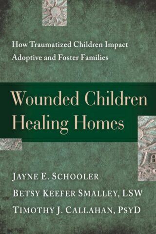 9781615215683 Wounded Children Healing Homes