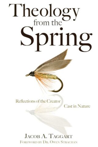 9781620207017 Theology From The Spring