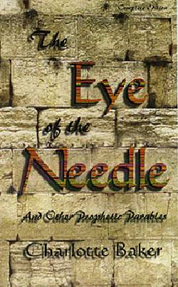 9781884369629 Eye Of The Needle