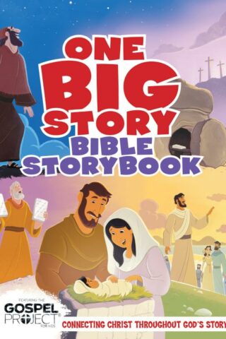 9781535948036 1 Big Story Bible Storybook