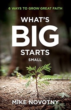 9780764240706 Whats Big Starts Small