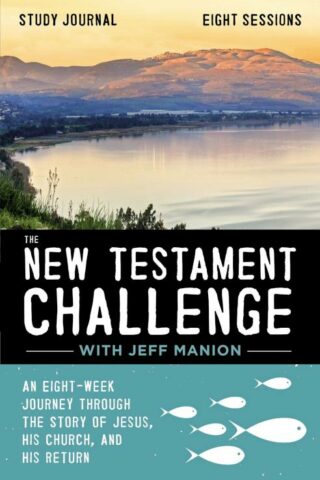 9780310125037 New Testament Challenge Study Journal (Student/Study Guide)