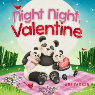9781400212828 Night Night Valentine