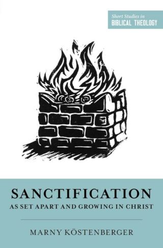 9781433573651 Sanctification As Set Apart And Growing In Christ