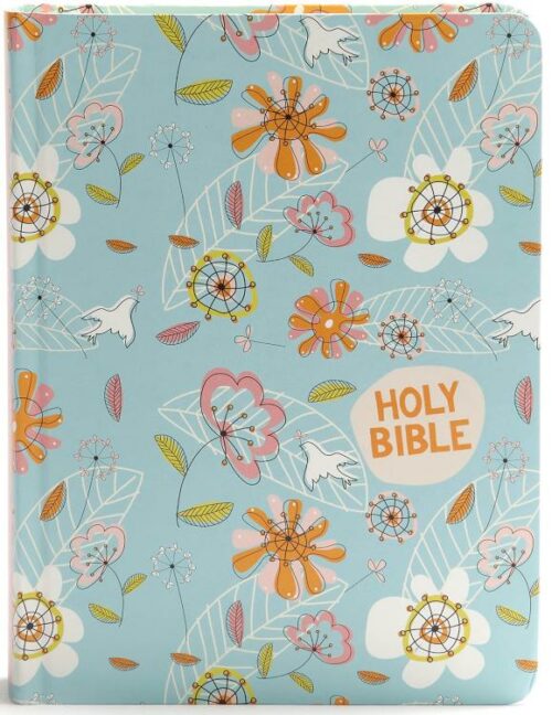 9781433648809 Journal And Draw Bible For Kids