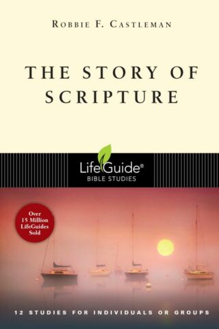 9780830831296 Story Of Scripture