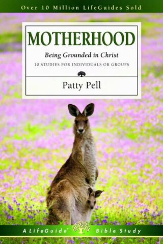 9780830831487 Motherhood : Being Grounded In Christ