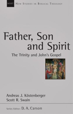 9780830826254 Father Son And Spirit