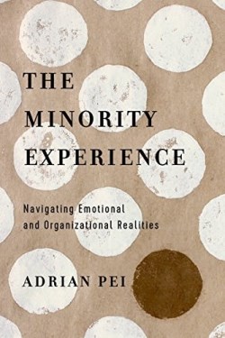 9780830845484 Minority Experience : Navigating Emotional And Organizational Realities