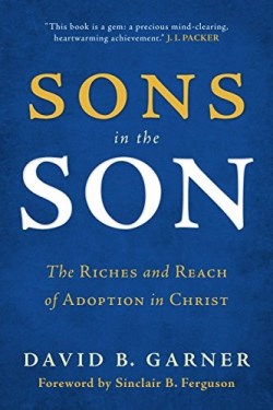 9781629950723 Sons In The Son