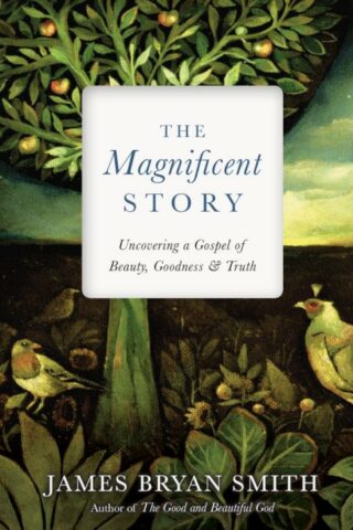 9780830846375 Magnificent Story : Uncovering A Gospel Of Beauty Goodness And Truth