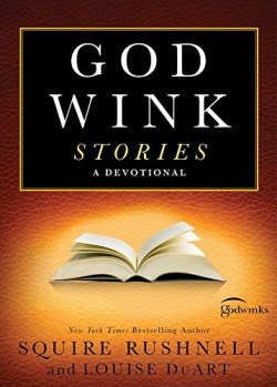 9781451678635 GodWink Stories A Devotional
