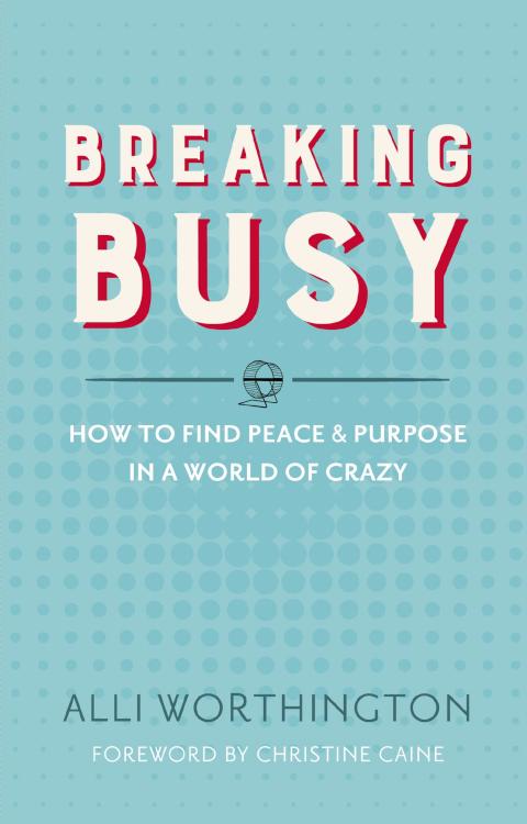 9780310342229 Breaking Busy : How To Find Peace And Purpose In A World Of Crazy