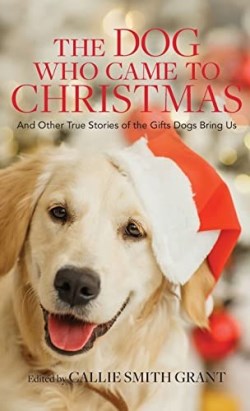 9780800741259 Dog Who Came To Christmas