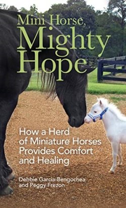 9780800741273 Mini Horse Mighty Hope