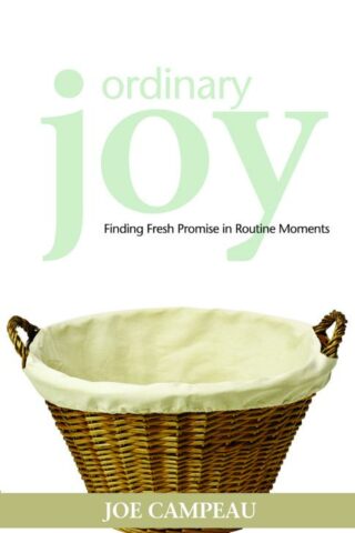 9780806651453 Ordinary Joy : Finding Fresh Promise In Routine Moments