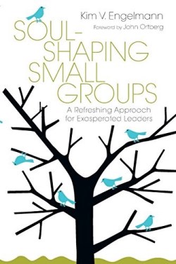 9780830837342 Soul Shaping Small Groups