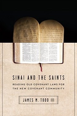 9780830851621 Sinai And The Saints