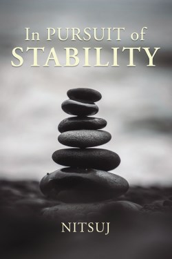 9781400331079 In Pursuit Of Stability