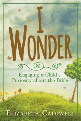 9781426799921 I Wonder : Engaging A Childs Curosity About The Bible
