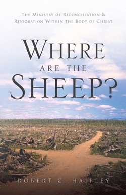 9781591607892 Where Are The Sheep