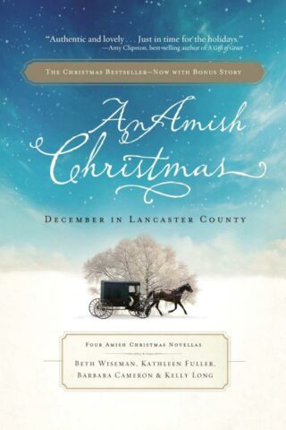 9781595548566 Amish Christmas : December In Lancaster County