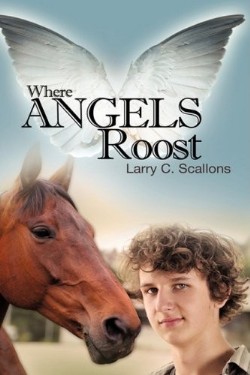 9781607914112 Where Angels Roost